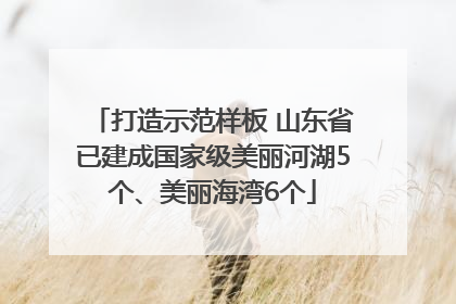 打造示范样板 山东省已建成国家级美丽河湖5个、美丽海湾6个