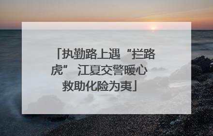 执勤路上遇“拦路虎” 江夏交警暖心救助化险为夷