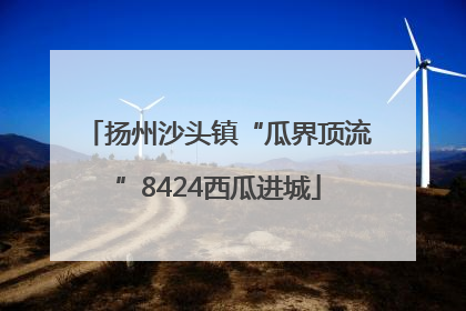 扬州沙头镇“瓜界顶流”8424西瓜进城