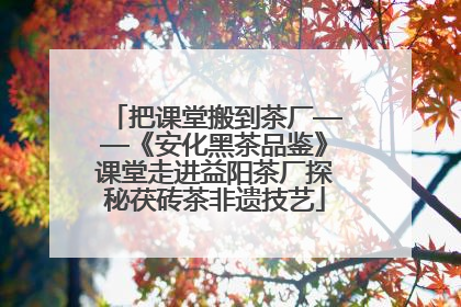 把课堂搬到茶厂——《安化黑茶品鉴》课堂走进益阳茶厂探秘茯砖茶非遗技艺