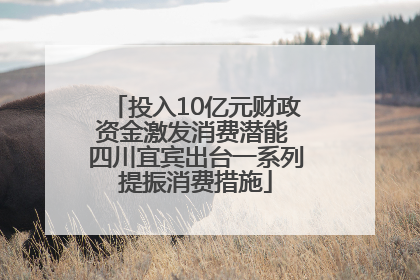 投入10亿元财政资金激发消费潜能 四川宜宾出台一系列提振消费措施