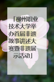 柳州职业技术大学举办首届非遗故事讲述大赛暨非遗展示活动