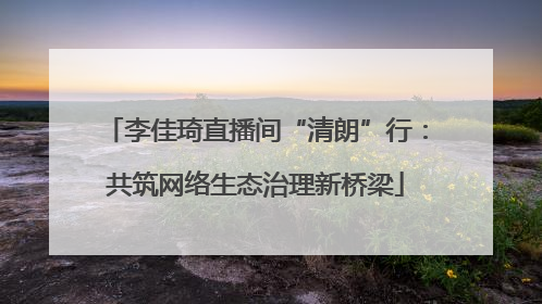 李佳琦直播间“清朗”行：共筑网络生态治理新桥梁
