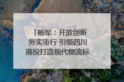 杨军：开放创新 务实重行 引领四川港投打造现代物流标杆｜致敬2024四川经济影响力人物