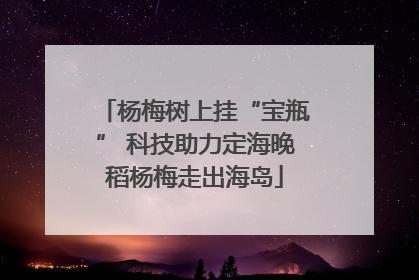 杨梅树上挂“宝瓶” 科技助力定海晚稻杨梅走出海岛