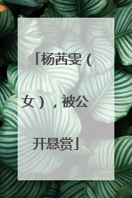 杨茜雯（女），被公开悬赏