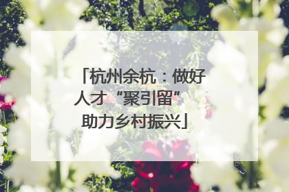 杭州余杭：做好人才“聚引留” 助力乡村振兴