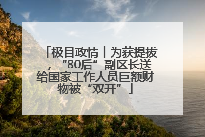 极目政情丨为获提拔，“80后”副区长送给国家工作人员巨额财物被“双开”