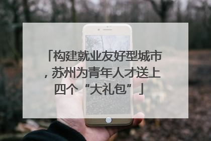 构建就业友好型城市，苏州为青年人才送上四个“大礼包”