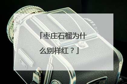 枣庄石榴为什么别样红？