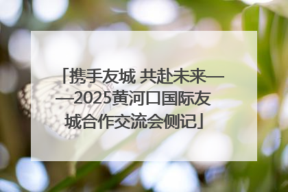 携手友城 共赴未来——2025黄河口国际友城合作交流会侧记