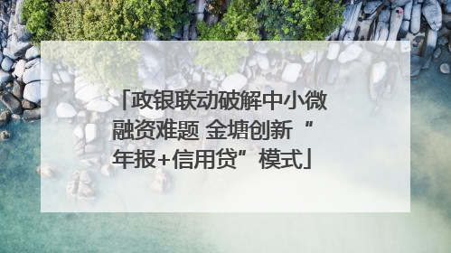 政银联动破解中小微融资难题 金塘创新“年报+信用贷”模式