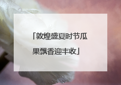 敦煌盛夏时节瓜果飘香迎丰收