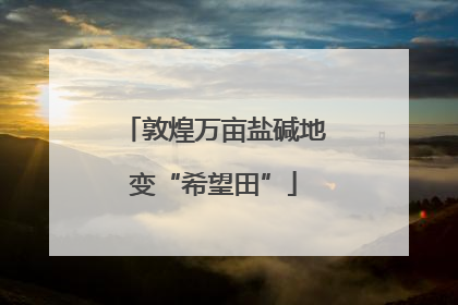 敦煌万亩盐碱地变“希望田”