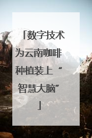 数字技术为云南咖啡种植装上“智慧大脑”
