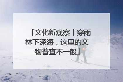 文化新观察丨穿雨林下深海，这里的文物普查不一般