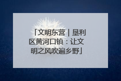 文明东营｜垦利区黄河口镇：让文明之风吹遍乡野