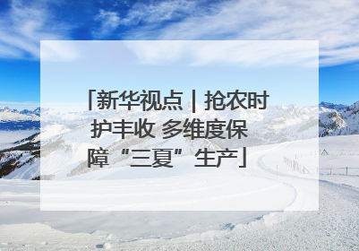 新华视点｜抢农时 护丰收 多维度保障“三夏”生产