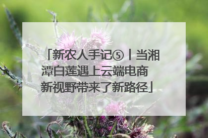新农人手记⑤丨当湘潭白莲遇上云端电商 新视野带来了新路径