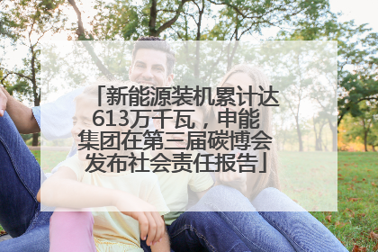 新能源装机累计达613万千瓦，申能集团在第三届碳博会发布社会责任报告