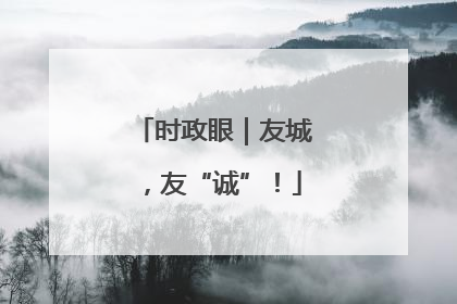 时政眼｜友城，友“诚”！