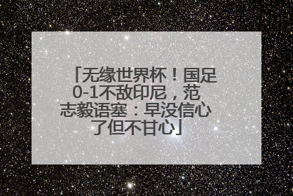 无缘世界杯！国足0-1不敌印尼，范志毅语塞：早没信心了但不甘心