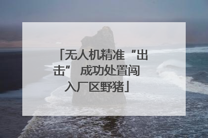 无人机精准“出击” 成功处置闯入厂区野猪