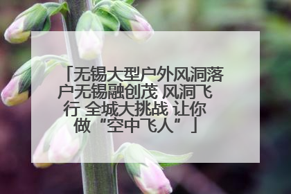 无锡大型户外风洞落户无锡融创茂 风洞飞行 全城大挑战 让你做“空中飞人”