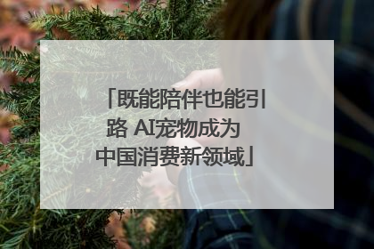 既能陪伴也能引路 AI宠物成为中国消费新领域
