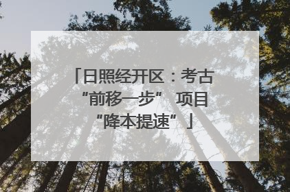 日照经开区：考古“前移一步” 项目“降本提速”