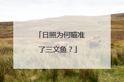 日照为何瞄准了三文鱼？