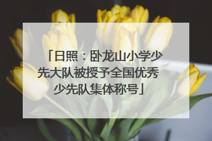 日照：卧龙山小学少先大队被授予全国优秀少先队集体称号