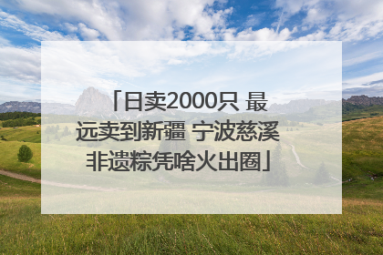 日卖2000只 最远卖到新疆 宁波慈溪非遗粽凭啥火出圈