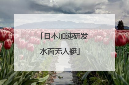 日本加速研发水面无人艇