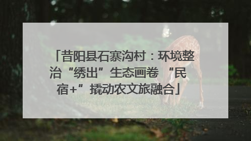 昔阳县石寨沟村：环境整治“绣出”生态画卷 “民宿+”撬动农文旅融合