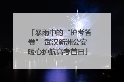 暴雨中的“护考答卷” 武汉新洲公安暖心护航高考首日