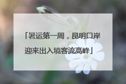 暑运第一周，昆明口岸迎来出入境客流高峰