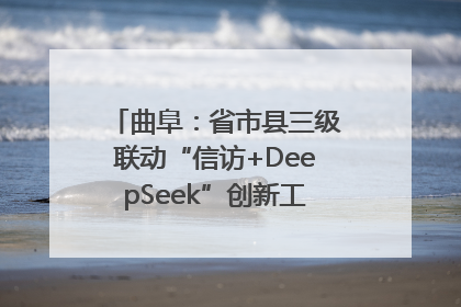 曲阜：省市县三级联动“信访+DeepSeek”创新工作新闻发布会举行