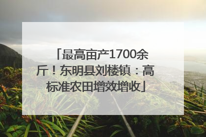 最高亩产1700余斤！东明县刘楼镇：高标准农田增效增收
