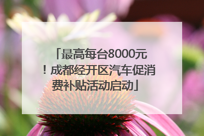 最高每台8000元！成都经开区汽车促消费补贴活动启动