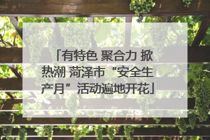 有特色 聚合力 掀热潮 菏泽市“安全生产月”活动遍地开花