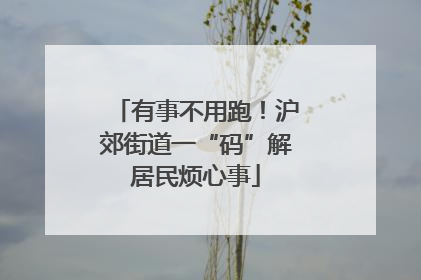 有事不用跑！沪郊街道一“码”解居民烦心事