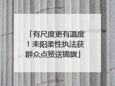 有尺度更有温度！耒阳柔性执法获群众点赞送锦旗