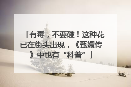 有毒，不要碰！这种花已在街头出现，《甄嬛传》中也有“科普”