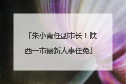 朱小青任副市长！陕西一市最新人事任免