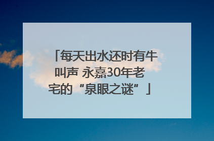 每天出水还时有牛叫声 永嘉30年老宅的“泉眼之谜”