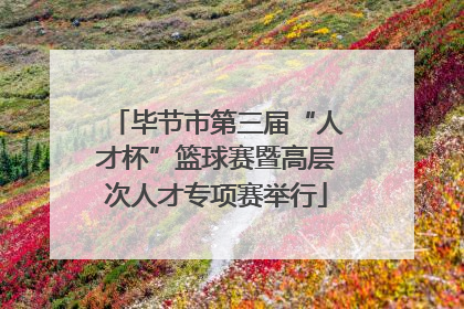毕节市第三届“人才杯”篮球赛暨高层次人才专项赛举行