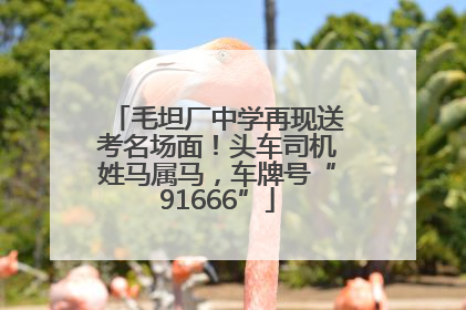 毛坦厂中学再现送考名场面！头车司机姓马属马，车牌号“91666”