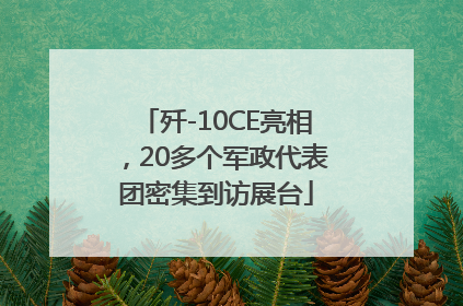 歼-10CE亮相，20多个军政代表团密集到访展台