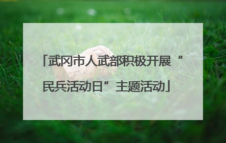 武冈市人武部积极开展“民兵活动日”主题活动